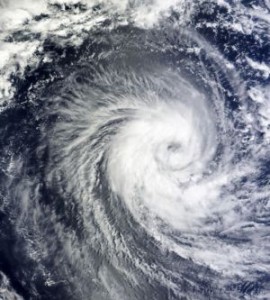 taifuu11