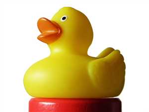 bath-duck-199927_640